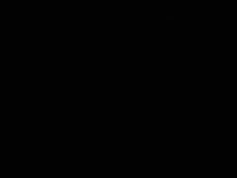 Blkstylion webcam