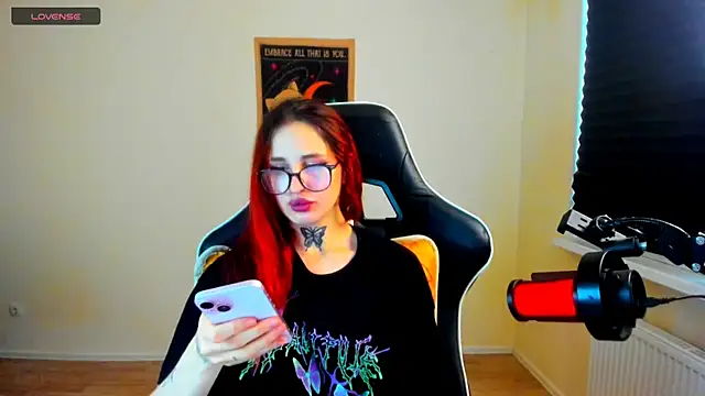 your_tora webcam