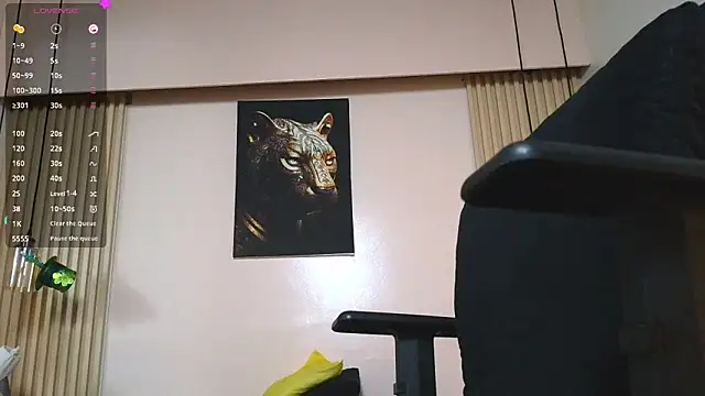 virtual_charm webcam