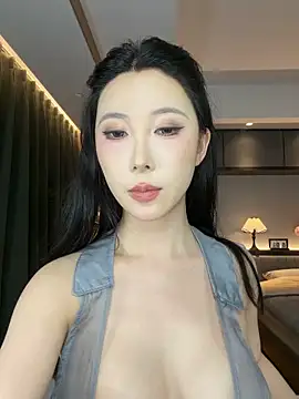 AYW-21 webcam