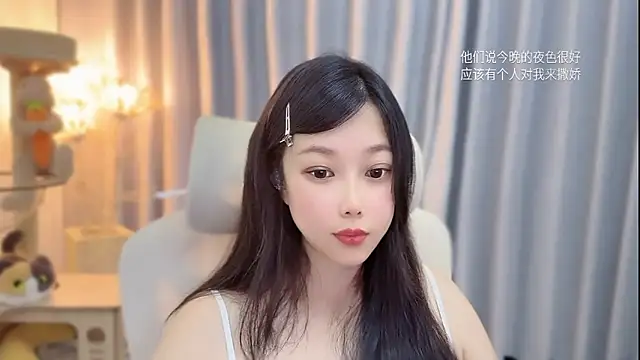 facai-feifei webcam