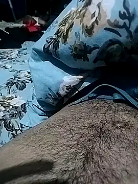 Tallhulk webcam