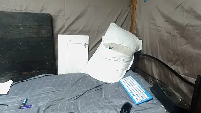 Camodick webcam