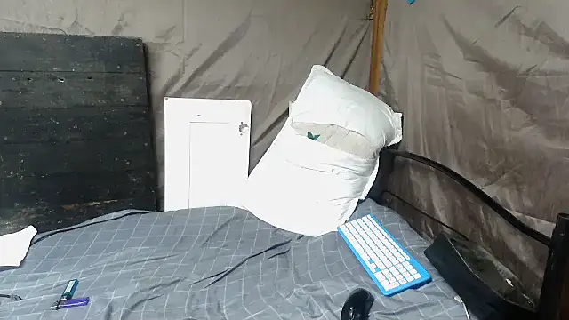 Camodick webcam