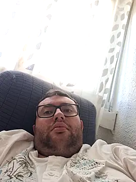 Javier_bear webcam