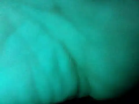 Innsaciable webcam