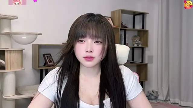SakuraCat6 webcam