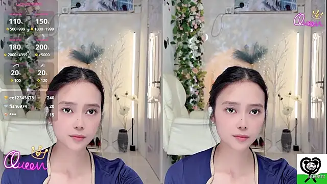 SkillfulDirector webcam