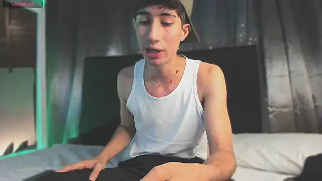 NovaaWheler webcam