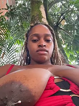 darle_volant webcam