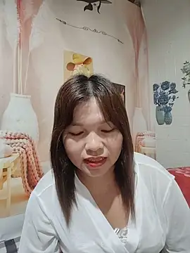 Cover-baa webcam