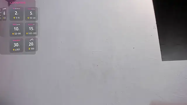 Izelevans webcam
