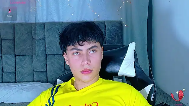 Dantekent webcam