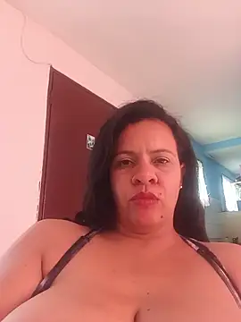 lapatronav2026 webcam