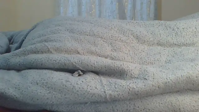ndivhuwomuleya live cam on StripChat