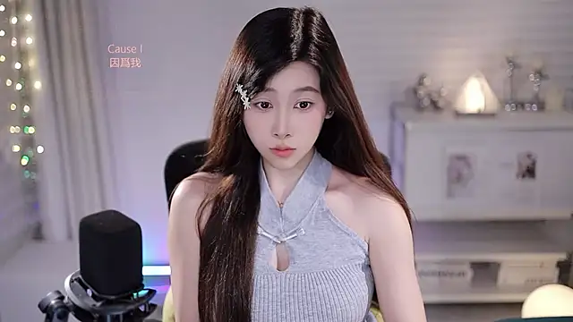 SleepArtist webcam