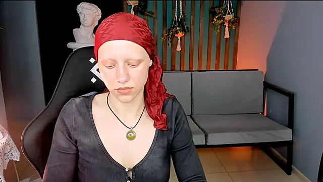 LidaDarknet webcam
