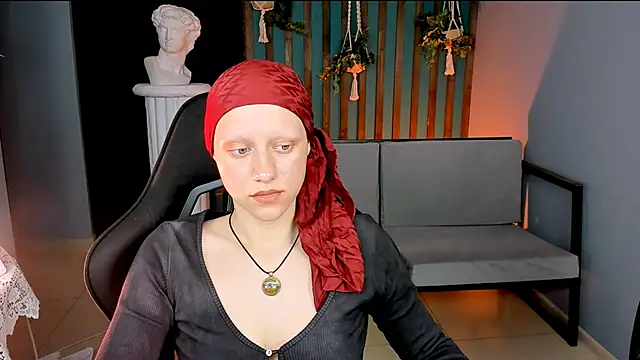 LidaDarknet webcam
