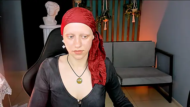 LidaDarknet webcam