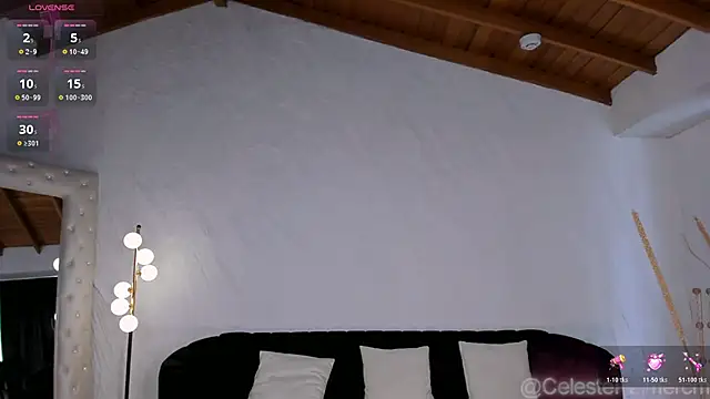 CelestePalmer_ webcam