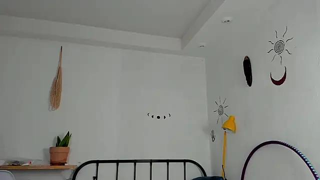 LiyaFly webcam