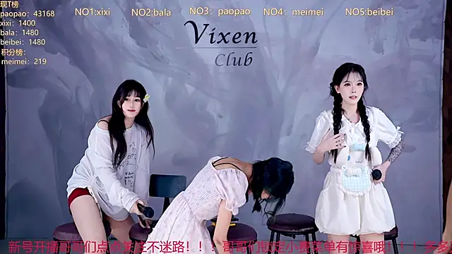 tl-99-09 webcam