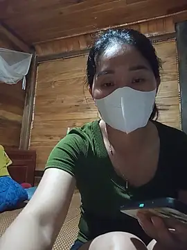 Td3di webcam