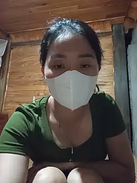 Td3di webcam