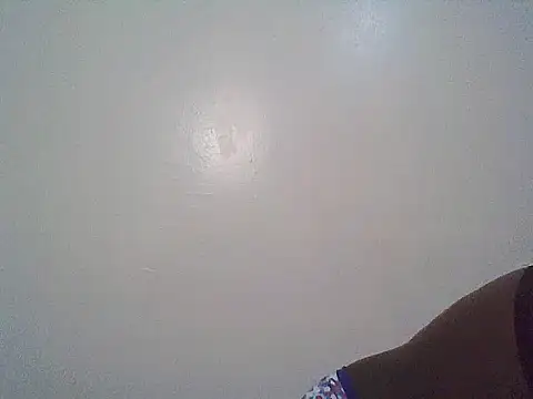 macecce webcam