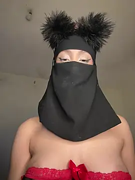 arabayla webcam