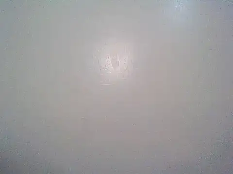 macecce webcam