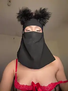 arabayla webcam