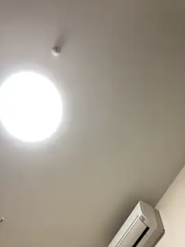 dadamaruu
