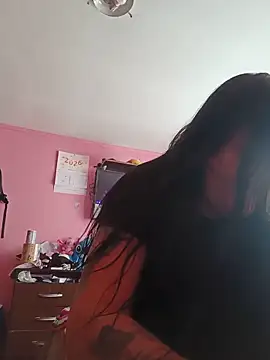 verito40 webcam