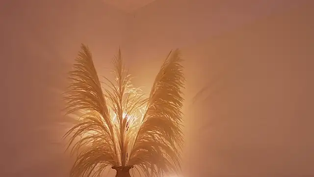 soidai_miiu webcam