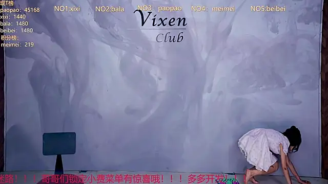 tl-99-09 webcam