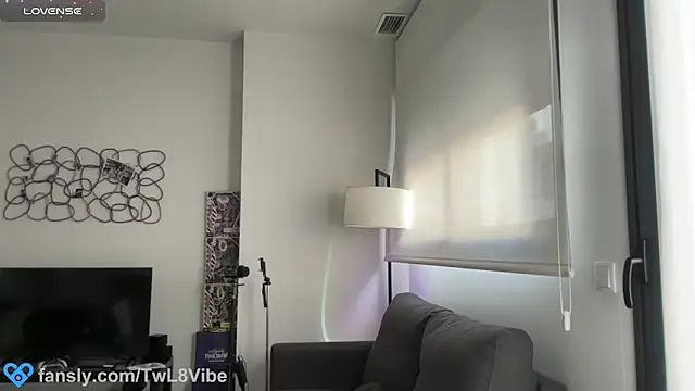 twl8vibe webcam