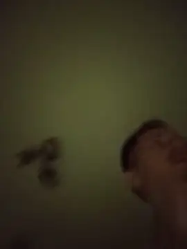 Ingeriubit webcam