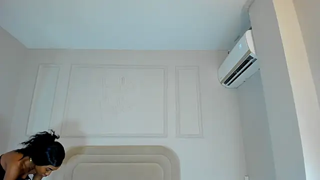 Liastarkk webcam