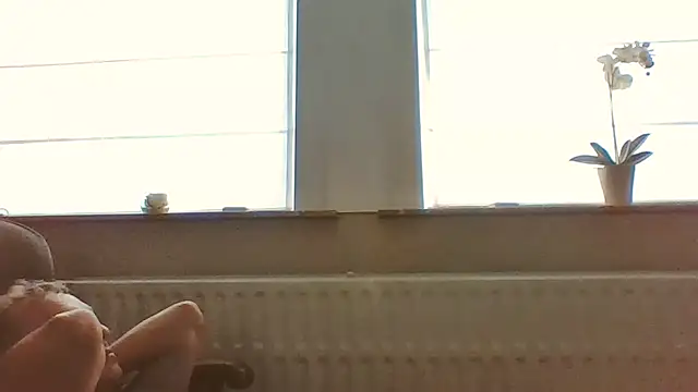 bertolini webcam