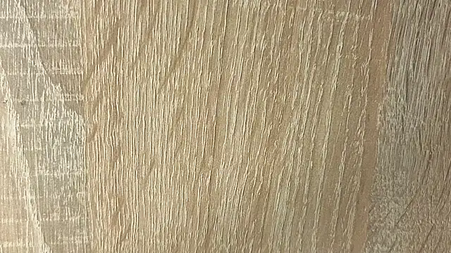 NoFace_Model webcam
