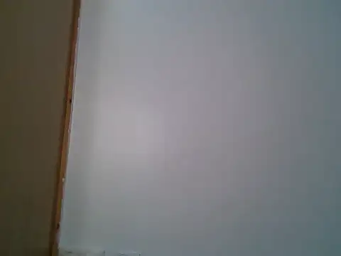 Tehiller webcam