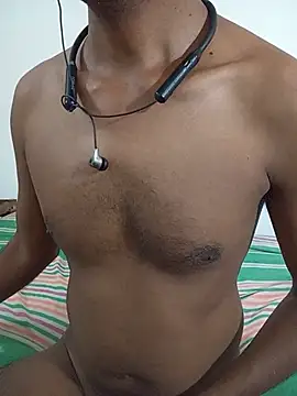 SL-Robinsan webcam