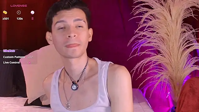 VicenteFerrer webcam