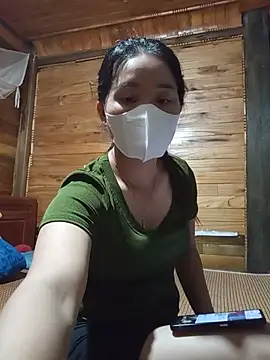 Td3di webcam
