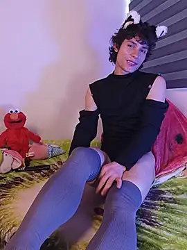 LittleTymmy webcam