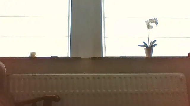 bertolini webcam
