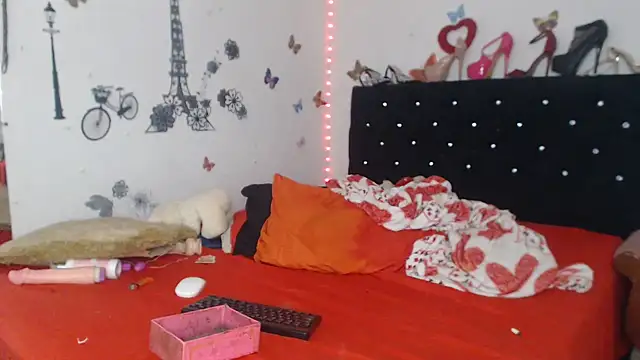 brigitht webcam