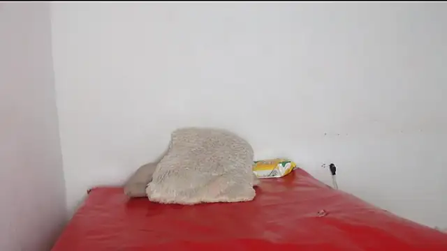 valeryskinnyvagi webcam