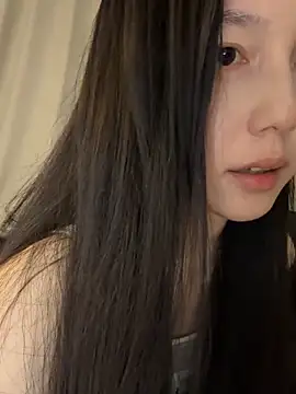 DD-5200 webcam
